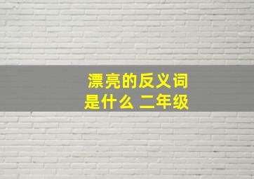 漂亮的反义词是什么 二年级